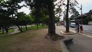 Reckful - Nara, Japan